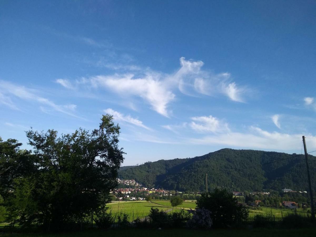 Ferienwohnung Am Eichbühl Waldkirch Exterior foto